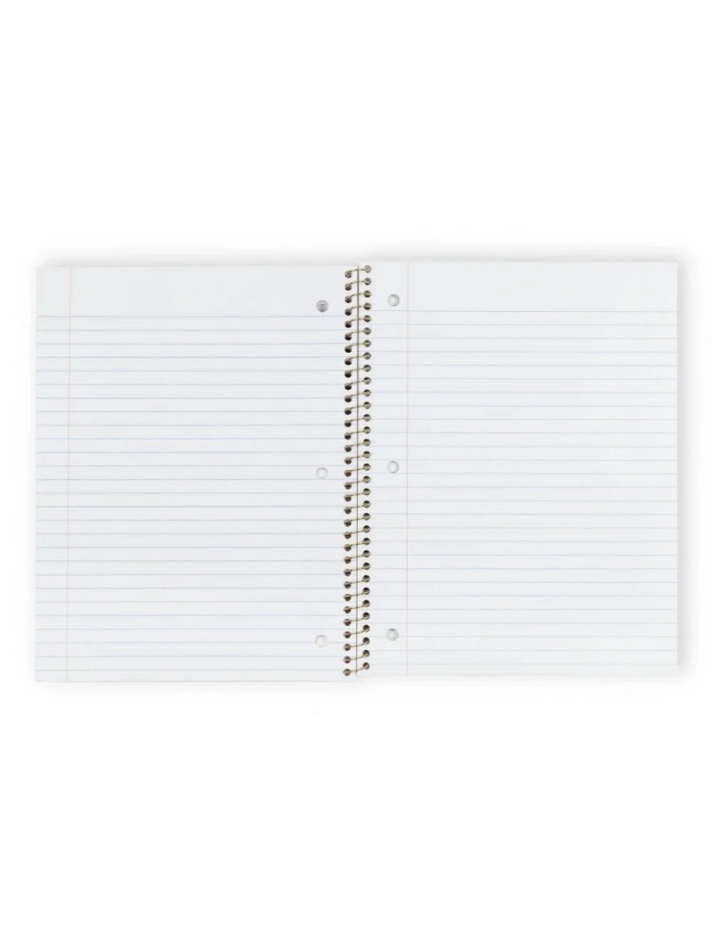 LoveShackFancy x Target Yoobi Everblooming Rosettes Notebook